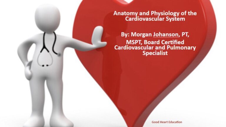 Anatomy and Physiology of the Heart
