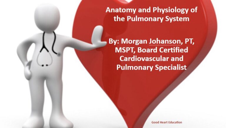 Anatomy and Physiology of the Lungs